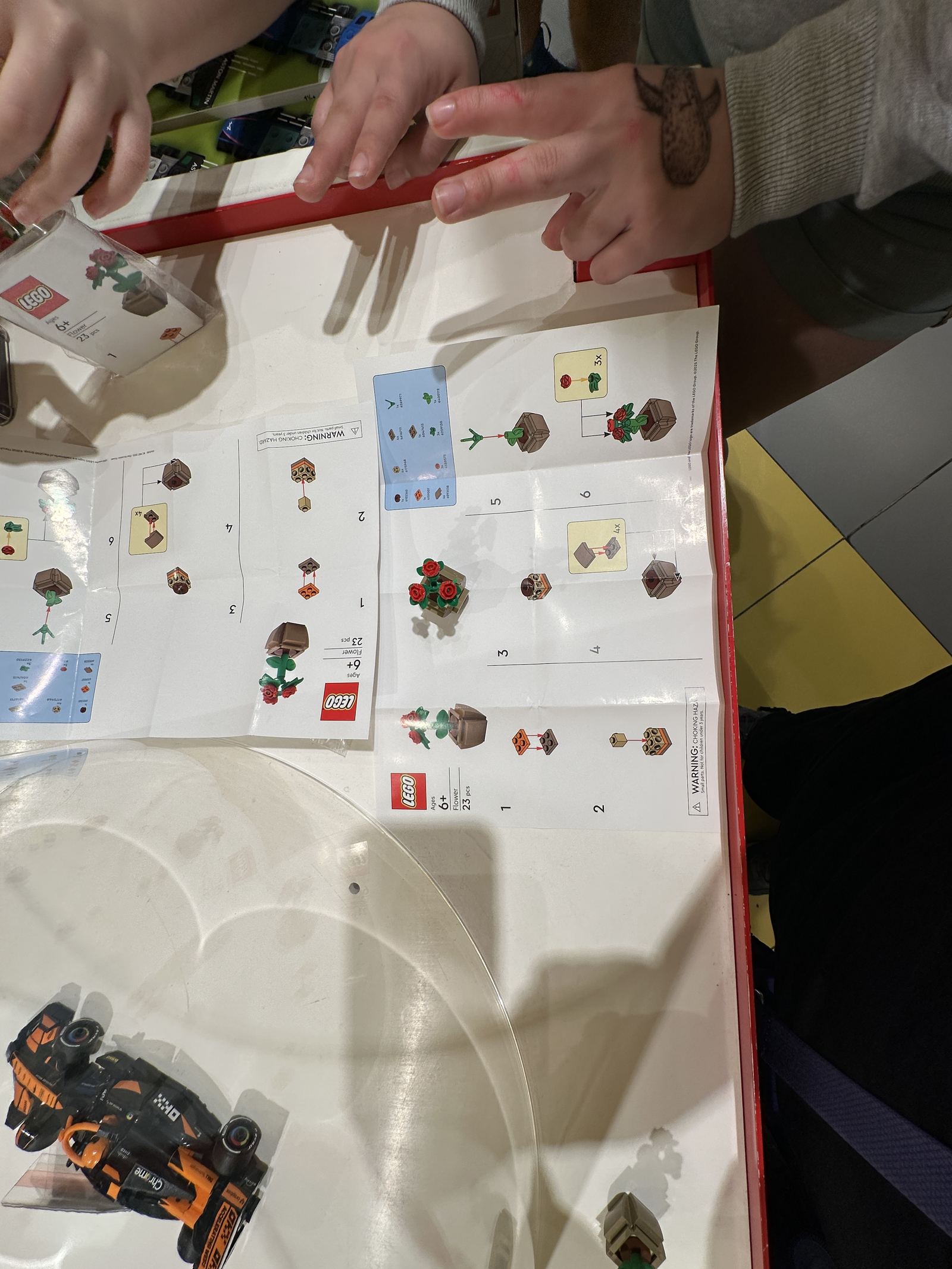 Instrucciones de Flower, 23 piezas, 6+
